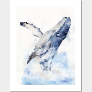 Bursting Humpback Whale Posters and Art